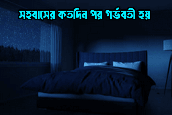 সহবাসের কত দিন পর গর্ভবতী হয়